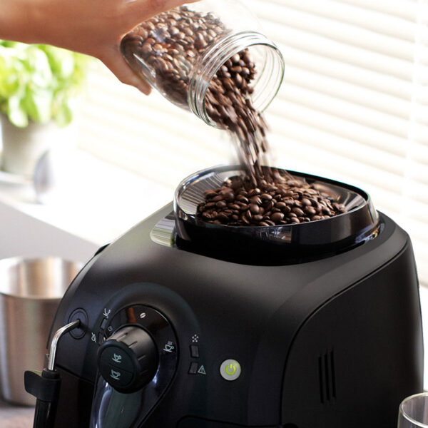 Gaggia Besana - Image 3